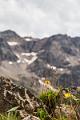 2019_08_01 (0070)